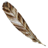 Feather