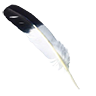 Feather eagle