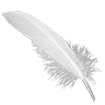 Feather goose