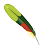 Feather parrot