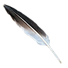 Feather pelican