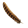 Feather pheasant