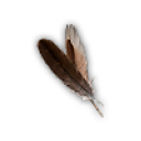 Feathers