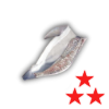 Flesh dolphin illegal