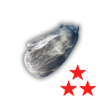 Flesh whale illegal