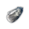 Flesh whale