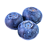 Foodcropblueberries