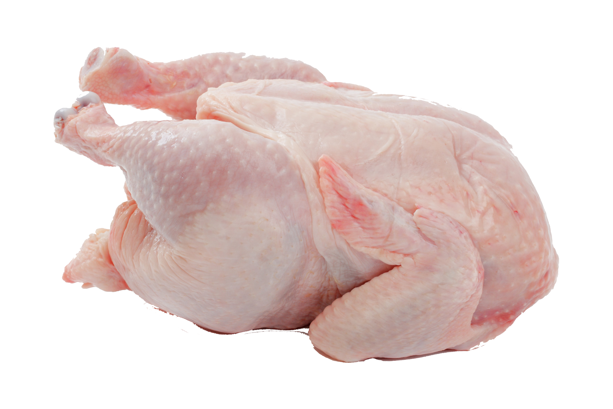 Frango