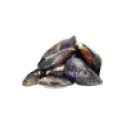 Fruttim