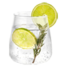 Gin and tonic