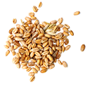 Grains