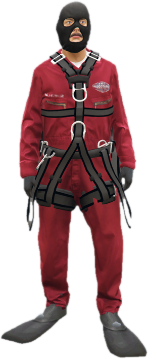 Hc gunman