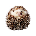 Herisson