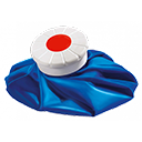 Icebag