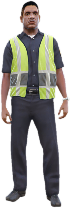 Ig trafficwarden
