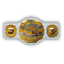 Intercontinental belt