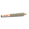 Joint2