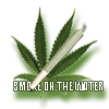 Joint normal2