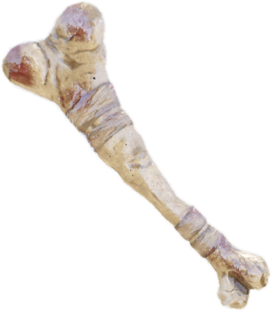 Khanbone
