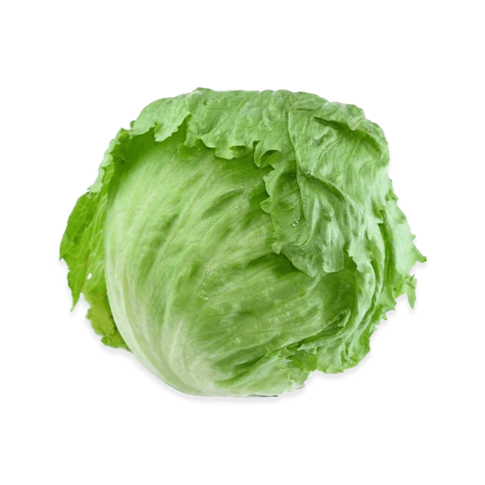 Lechuga