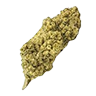 Lemonskunk trimmed bud