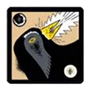 Lg card corbeau