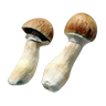 Magic mushrooms
