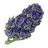 Marijuana bud1