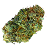 Marijuana bud2