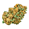 Marijuana bud3