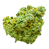 Marijuana bud5