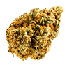 Marijuana bud6