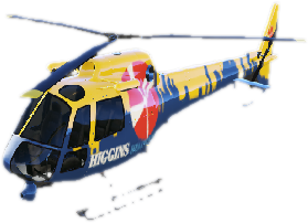 Maverick2