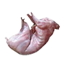 Meat rabbit