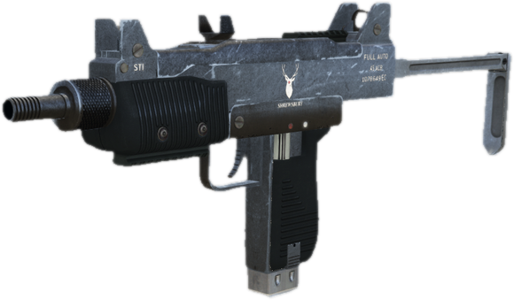 Microsmg
