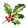 Mistletoe