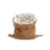 Moneybag2