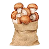 Mushroom sack