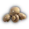 Mushrooms