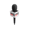 News mic