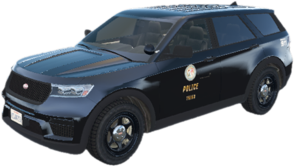 Nkscout2020