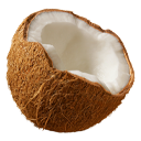 Noix coco