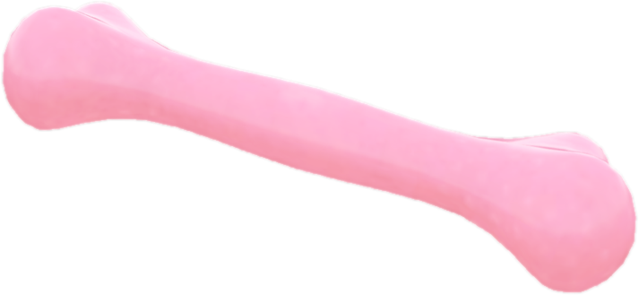 Nw dpp1 rubberbone2 6