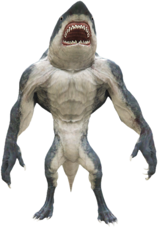 Nw shark