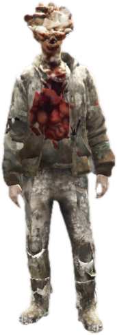 Nw zombie2