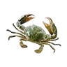 O kingcrab