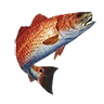 O redfish