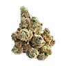 Ogkush trimmed bud