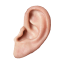Oreille