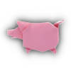 Origami6